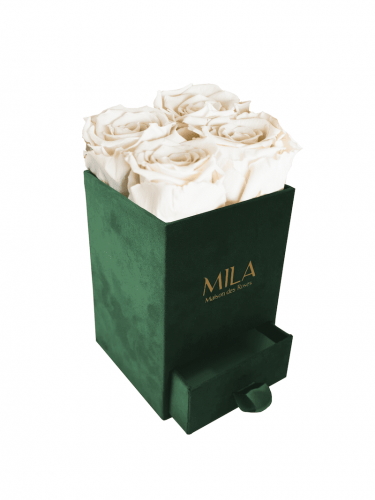 Produit Mila-Roses-00750 Mila Velvet Mini Emeraude Velvet Mini - White Cream