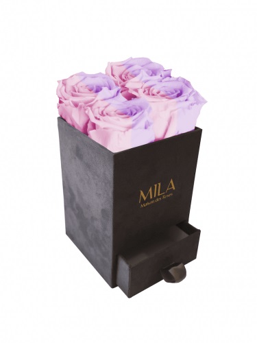 Produit Mila-Roses-00751 Mila Velvet Mini Dark Grey Velvet Mini - Vintage rose