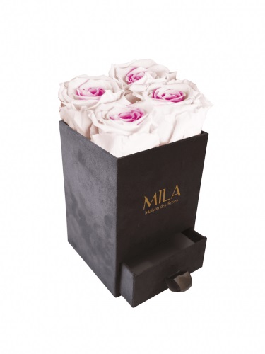 Produit Mila-Roses-00752 Mila Velvet Mini Dark Grey Velvet Mini - Pink bottom