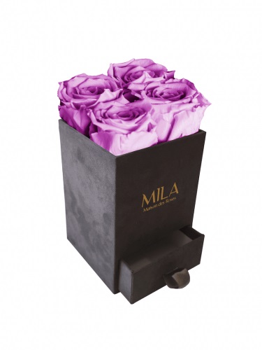 Produit Mila-Roses-00757 Mila Velvet Mini Dark Grey Velvet Mini - Mauve