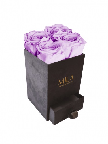 Produit Mila-Roses-00758 Mila Velvet Mini Dark Grey Velvet Mini - Lavender
