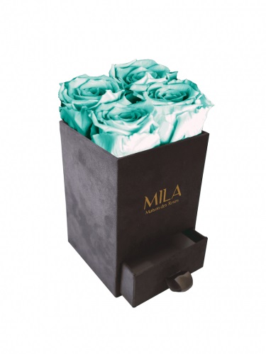 Produit Mila-Roses-00760 Mila Velvet Mini Dark Grey Velvet Mini - Aquamarine