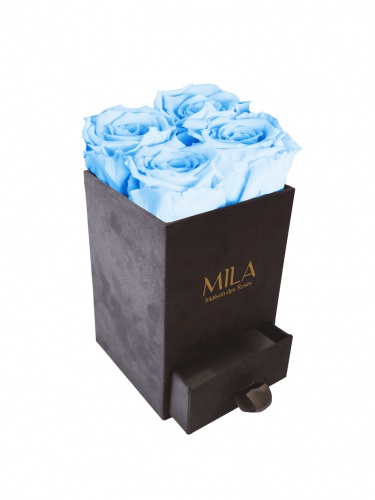 Produit Mila-Roses-00761 Mila Velvet Mini Dark Grey Velvet Mini - Baby blue