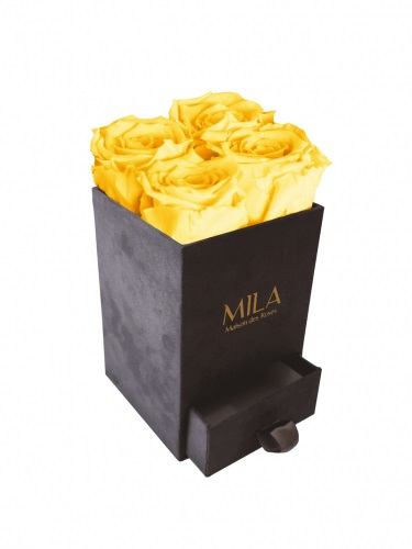 Produit Mila-Roses-00762 Mila Velvet Mini Dark Grey Velvet Mini - Yellow Sunshine