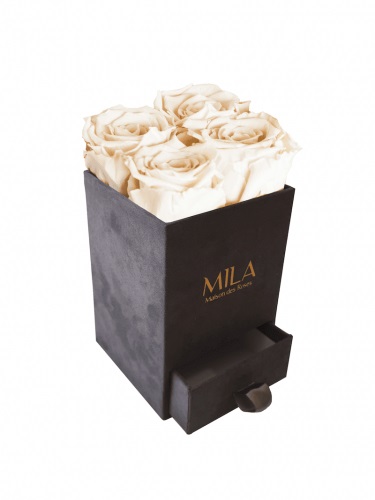 Produit Mila-Roses-00766 Mila Velvet Mini Dark Grey Velvet Mini - Champagne