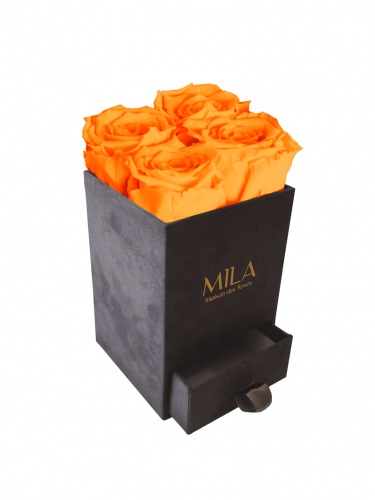 Produit Mila-Roses-00767 Mila Velvet Mini Dark Grey Velvet Mini - Orange Bloom