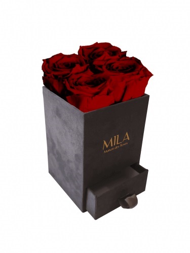 Produit Mila-Roses-00768 Mila Velvet Mini Dark Grey Velvet Mini - Rubis Rouge