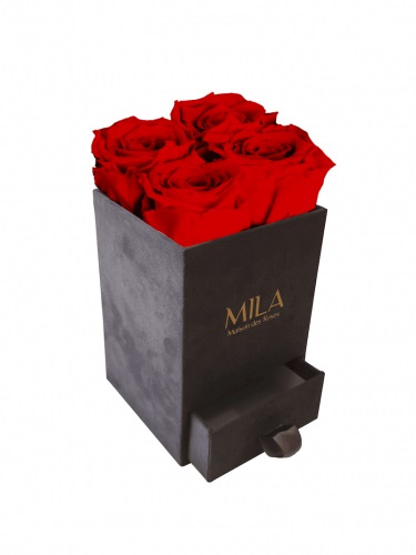 Produit Mila-Roses-00769 Mila Velvet Mini Dark Grey Velvet Mini - Rouge Amour