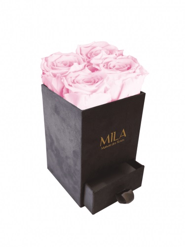 Produit Mila-Roses-00771 Mila Velvet Mini Dark Grey Velvet Mini - Pink Blush