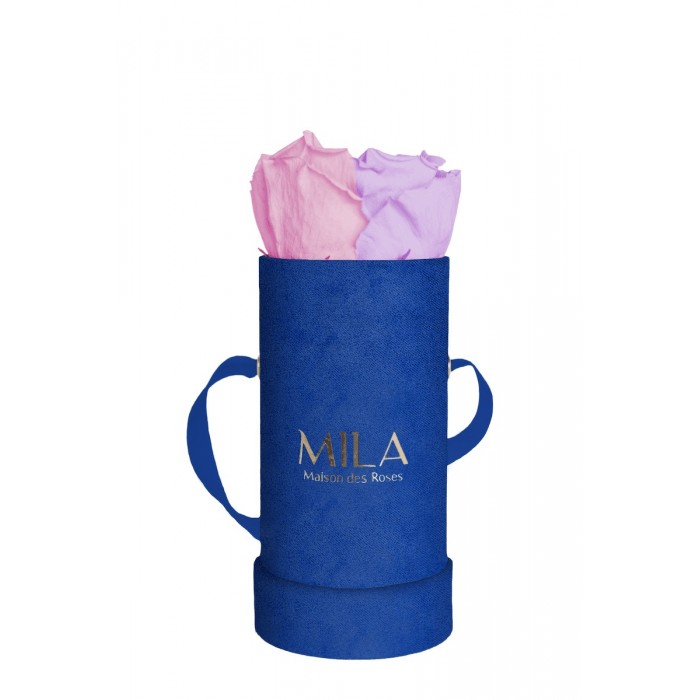 Mila Velvet Baby Royal Blue Velvet Baby - Vintage rose