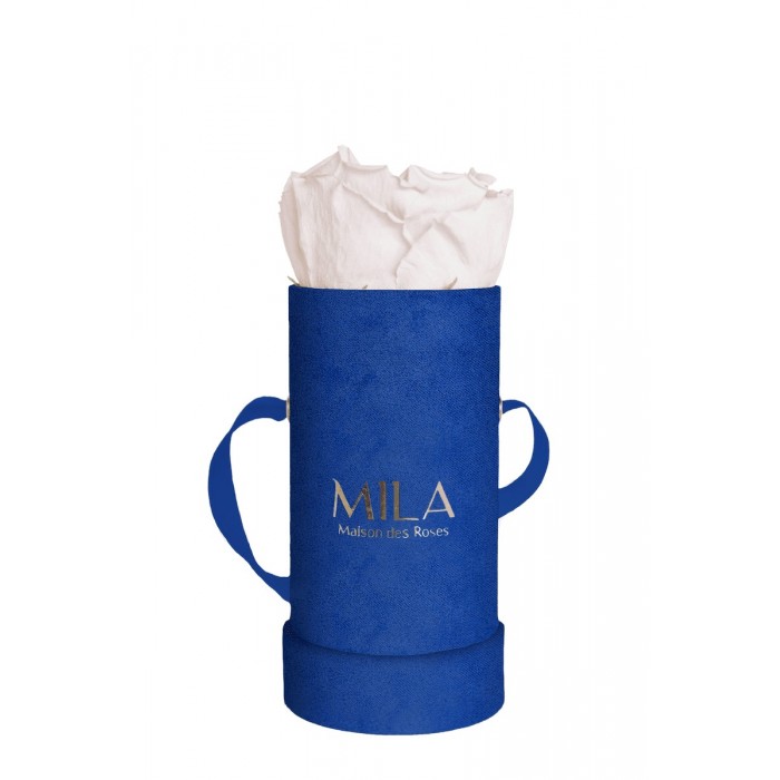 Mila Velvet Baby Royal Blue Velvet Baby - Pink bottom