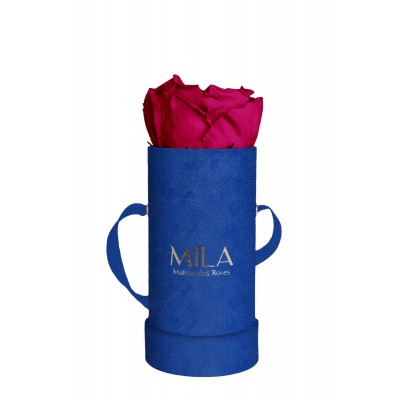 Produit Mila-Roses-00802 Mila Velvet Baby Royal Blue Velvet Baby - Fuchsia