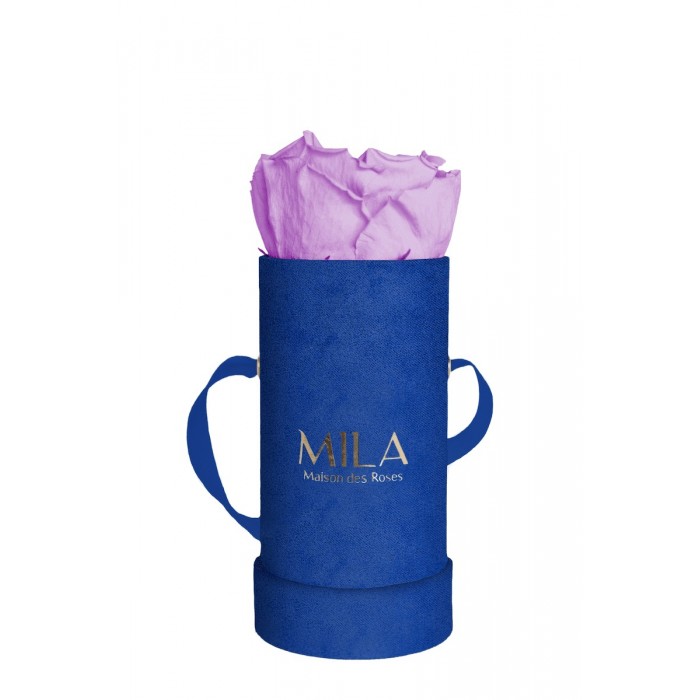 Mila Velvet Baby Royal Blue Velvet Baby - Lavender