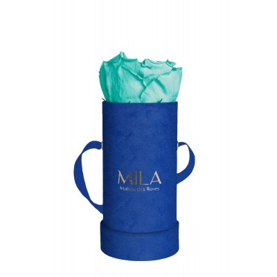 Produit Mila-Roses-00808 Mila Velvet Baby Royal Blue Velvet Baby - Aquamarine