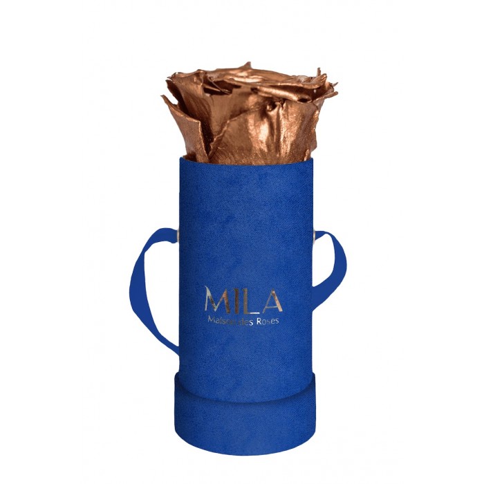 Mila Velvet Baby Royal Blue Velvet Baby - Metallic Copper