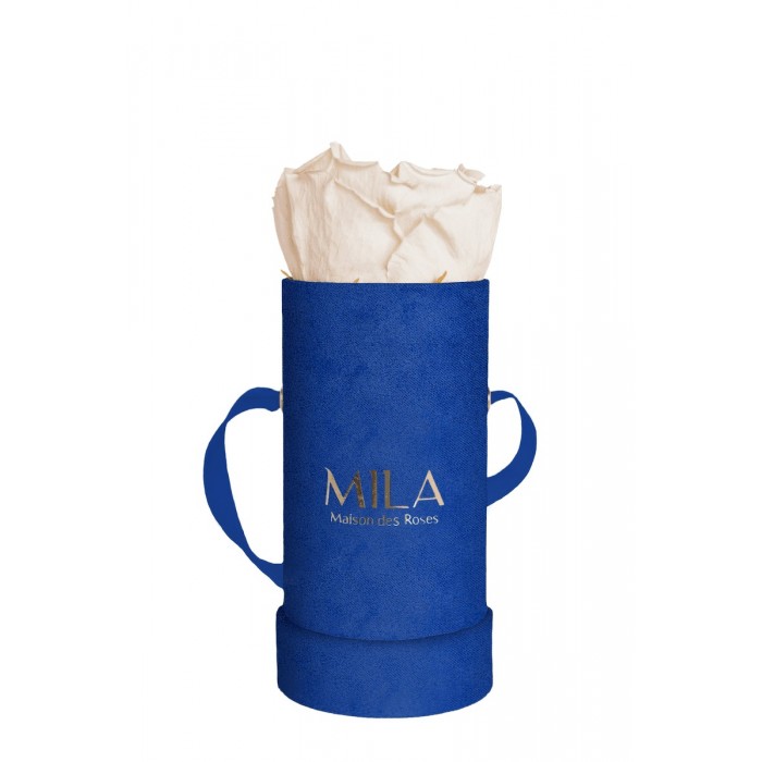 Mila Velvet Baby Royal Blue Velvet Baby - Champagne