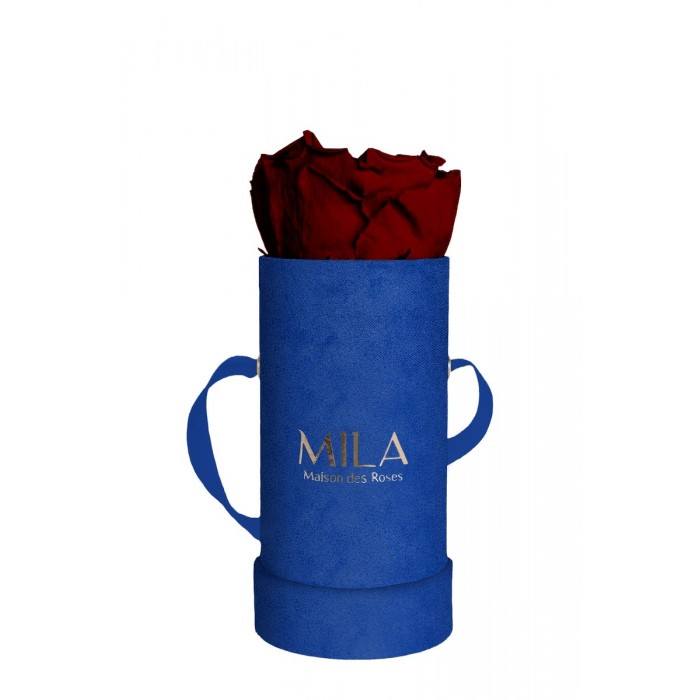 Mila Velvet Baby Royal Blue Velvet Baby - Rubis Rouge