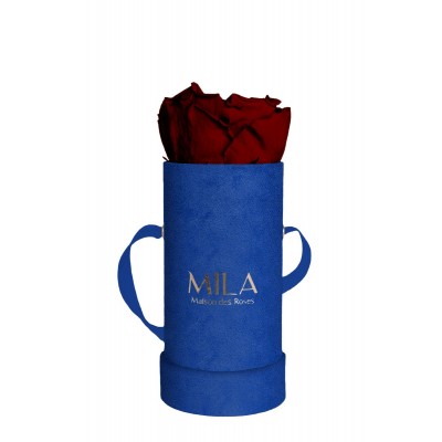 Produit Mila-Roses-00816 Mila Velvet Baby Royal Blue Velvet Baby - Rubis Rouge
