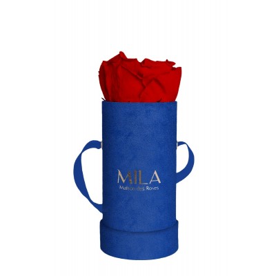 Produit Mila-Roses-00817 Mila Velvet Baby Royal Blue Velvet Baby - Rouge Amour