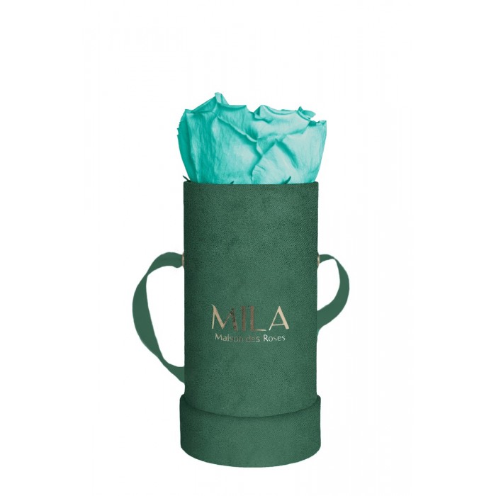 Mila Velvet Baby Emeraude Velvet Baby - Aquamarine