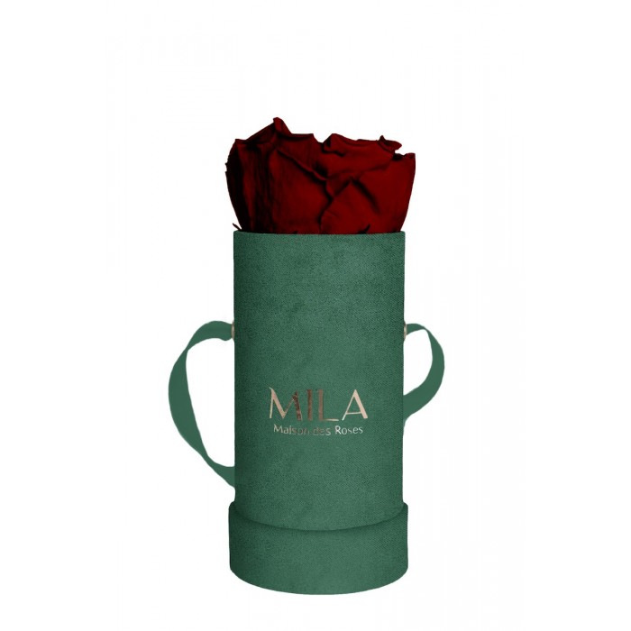 Mila Velvet Baby Emeraude Velvet Baby - Rubis Rouge