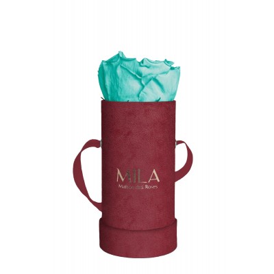 Produit Mila-Roses-00880 Mila Velvet Baby Burgundy Velvet Baby - Aquamarine