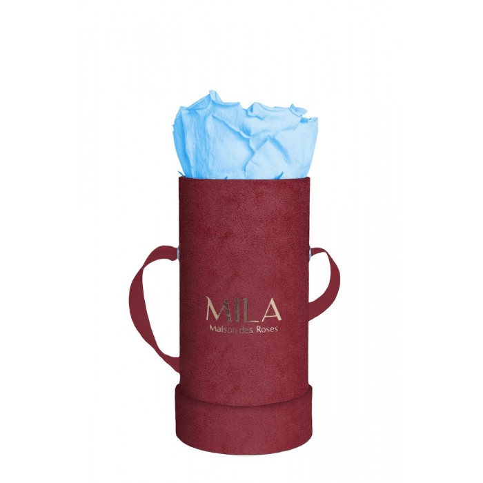 Mila Velvet Baby Burgundy Velvet Baby - Baby blue