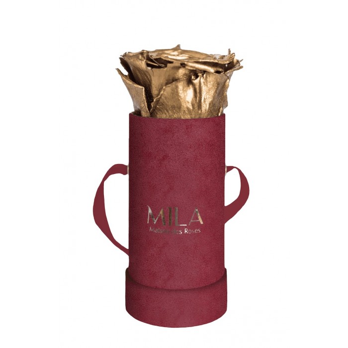 Mila Velvet Baby Burgundy Velvet Baby - Metallic Gold