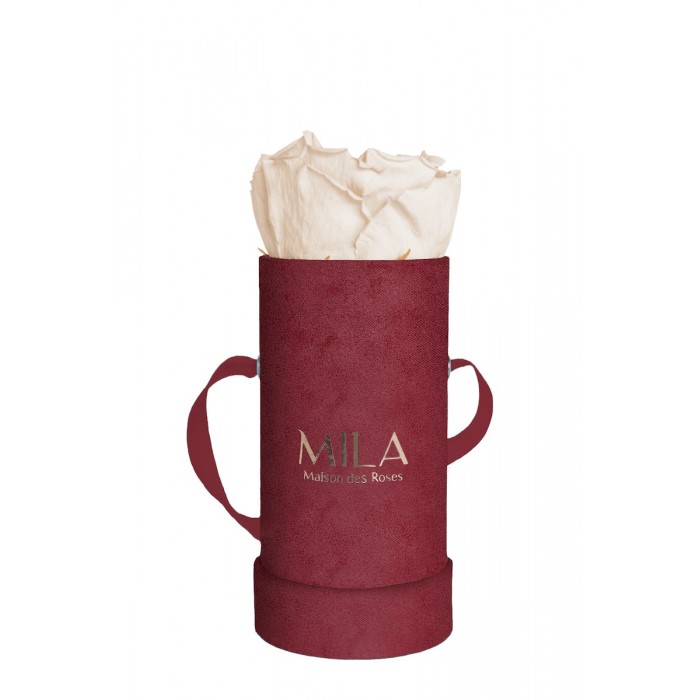 Mila Velvet Baby Burgundy Velvet Baby - Champagne