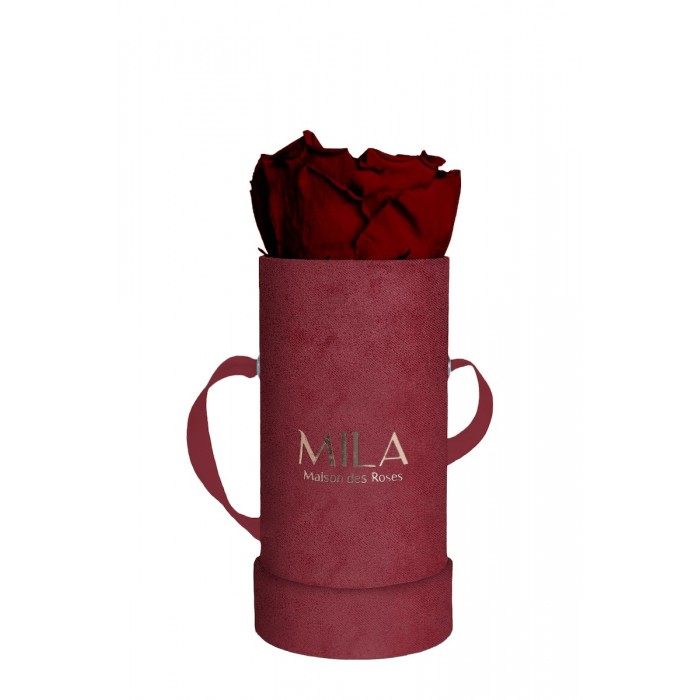 Mila Velvet Baby Burgundy Velvet Baby - Rubis Rouge