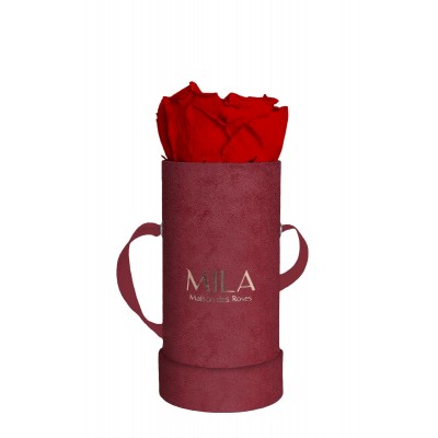 Produit Mila-Roses-00889 Mila Velvet Baby Burgundy Velvet Baby - Rouge Amour