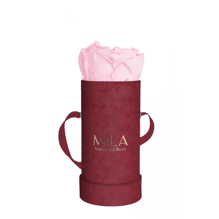 Mila Velvet Baby Burgundy Velvet Baby - Pink Blush