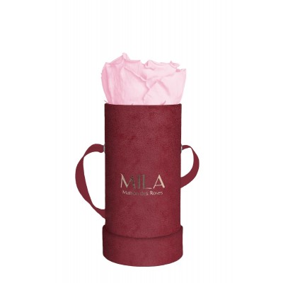 Produit Mila-Roses-00891 Mila Velvet Baby Burgundy Velvet Baby - Pink Blush