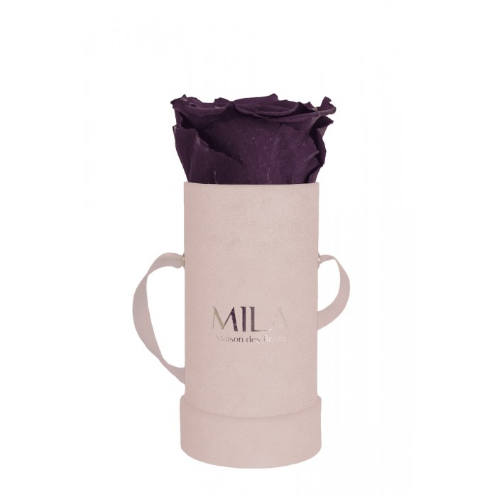 Mila Velvet Baby Old Pink Velvet Baby - Velvet purple