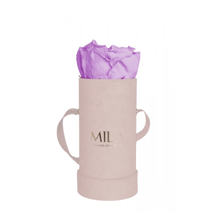 Mila Velvet Baby Old Pink Velvet Baby - Lavender