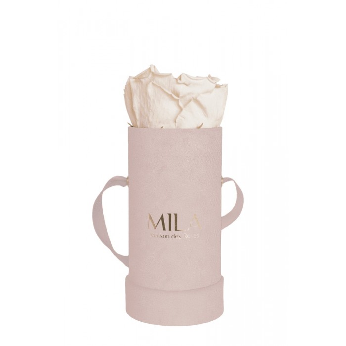 Mila Velvet Baby Old Pink Velvet Baby - Champagne