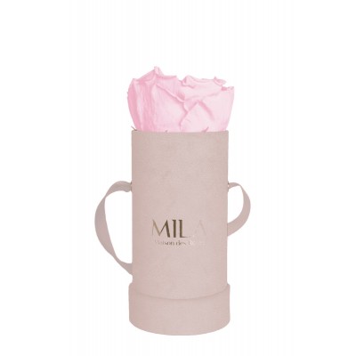 Produit Mila-Roses-00915 Mila Velvet Baby Old Pink Velvet Baby - Pink Blush