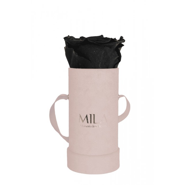 Mila Velvet Baby Old Pink Velvet Baby - Black Velvet