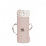  Mila-Roses-00918 Mila Velvet Baby Old Pink Velvet Baby - White Cream