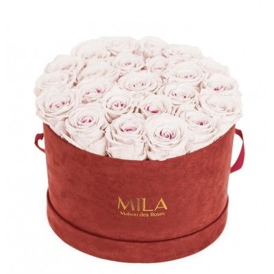 Produit Mila-Roses-00920 Mila Burgundy Velvet Large - Pink bottom