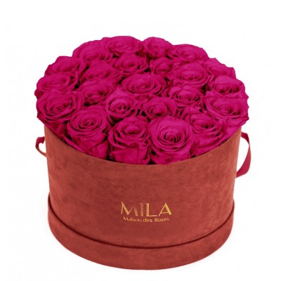 Produit Mila-Roses-00922 Mila Burgundy Velvet Large - Fuchsia