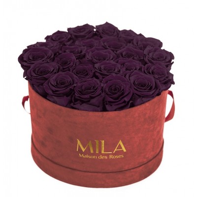 Produit Mila-Roses-00923 Mila Burgundy Velvet Large - Velvet purple