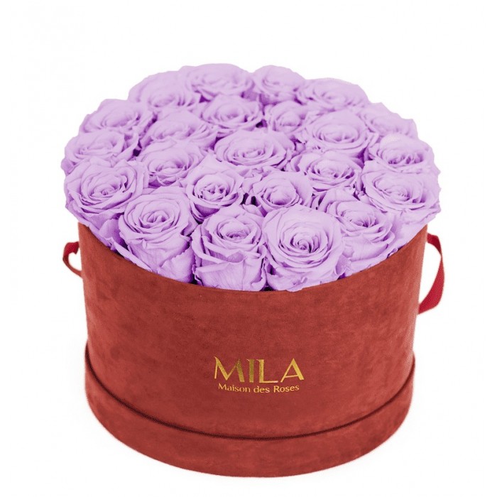 Mila Burgundy Velvet Large - Lavender