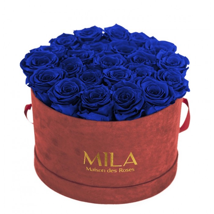 Mila Burgundy Velvet Large - Royal blue