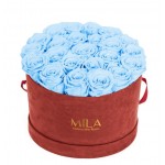  Mila-Roses-00929 Mila Burgundy Velvet Large - Baby blue