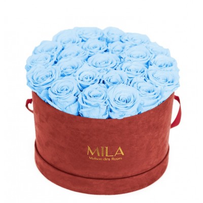 Produit Mila-Roses-00929 Mila Burgundy Velvet Large - Baby blue