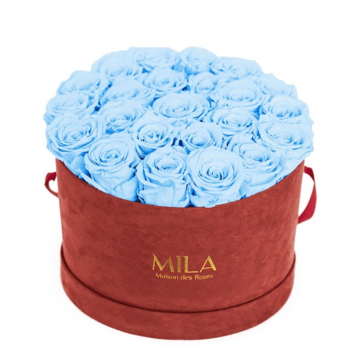 Mila Burgundy Velvet Large - Baby blue