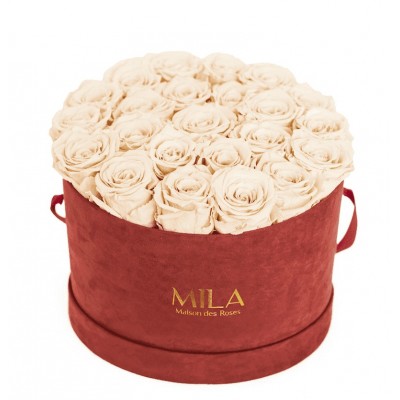 Produit Mila-Roses-00934 Mila Burgundy Velvet Large - Champagne