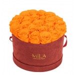  Mila-Roses-00935 Mila Burgundy Velvet Large - Orange Bloom