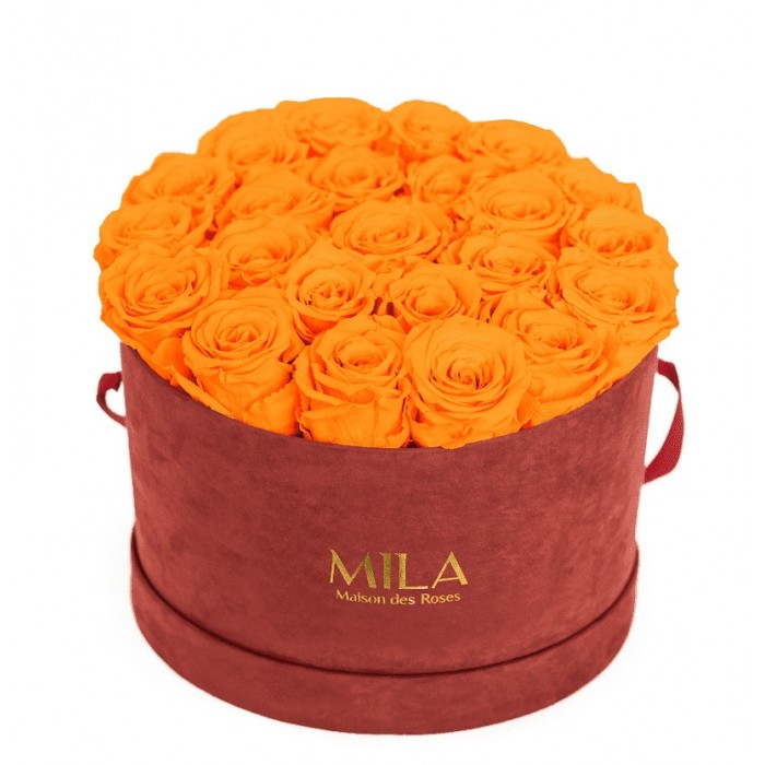 Mila Burgundy Velvet Large - Orange Bloom